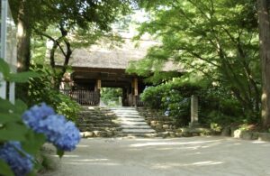 東大寺別院阿弥陀寺2